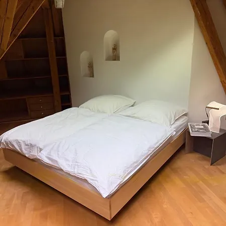 Vila Historic Elegance And Modern Comfort *